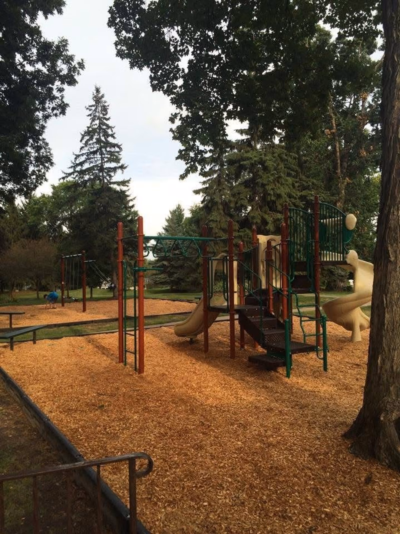 Tiburon Playground