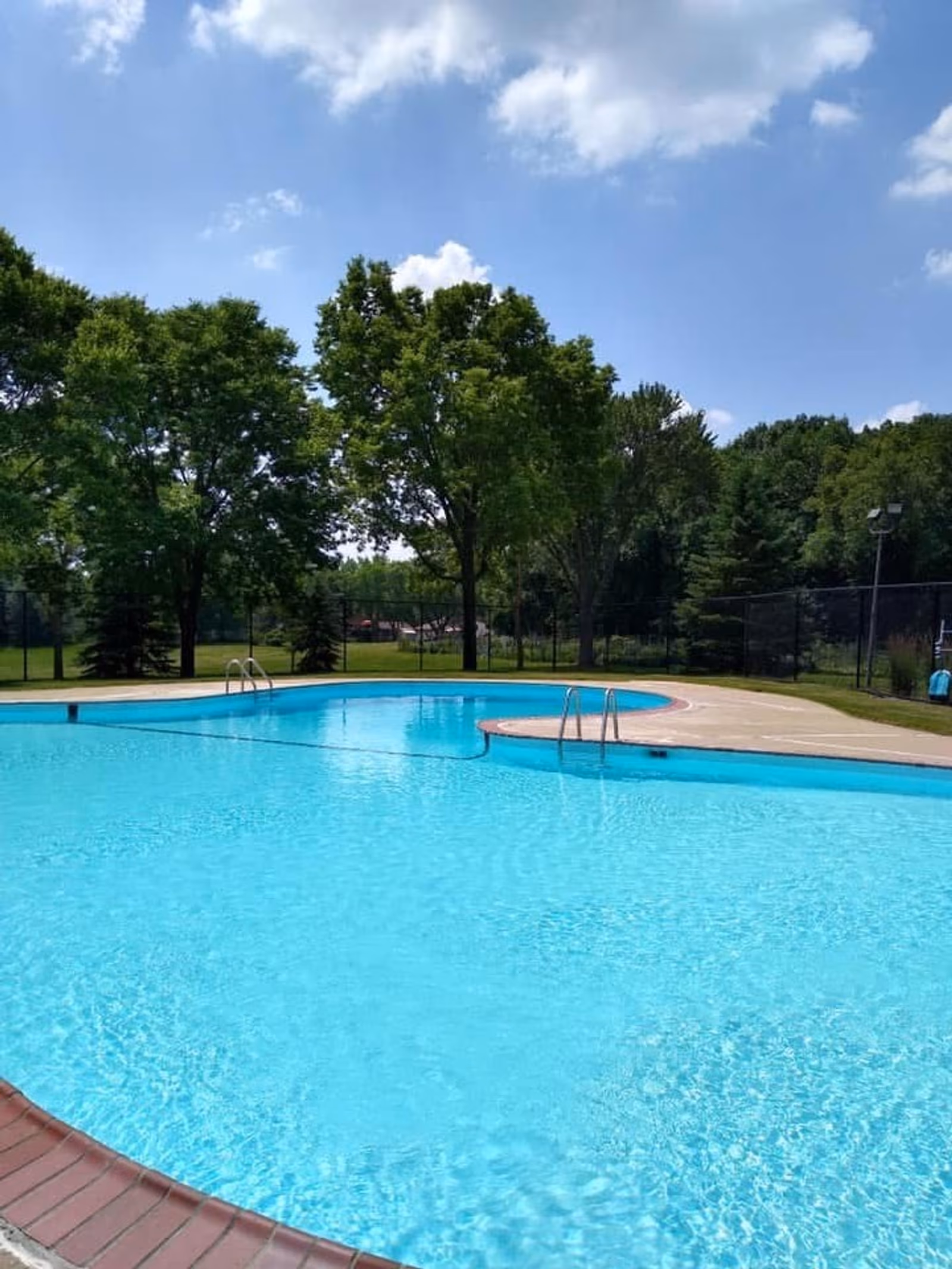 Tiburon Swimming Pool