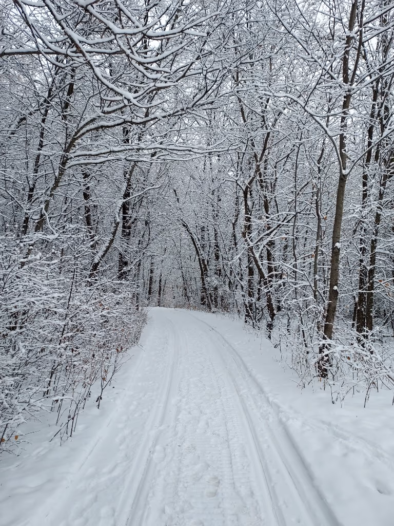 Tiburon Nature Trail in Winter